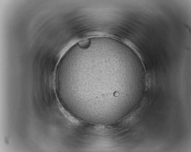 X0000100231098200806061403