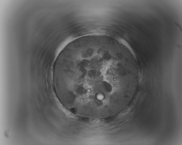 X0000100231099200806061403