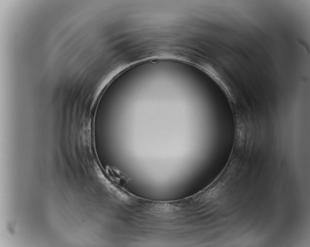 X0000100231100200806061403
