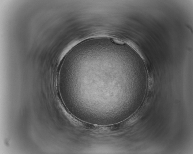 X0000100231101200806061403