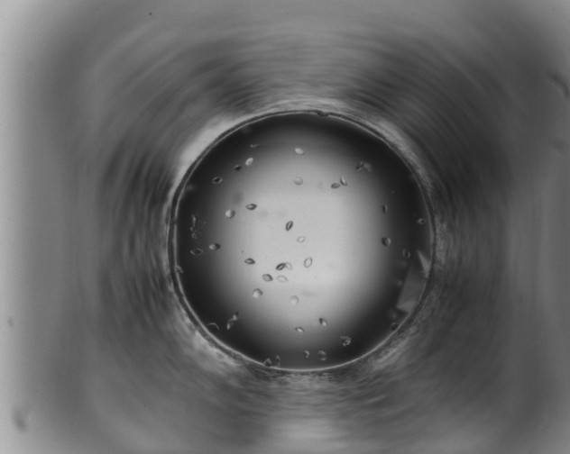 X0000100231102200806061403