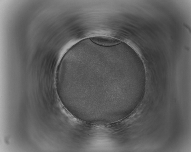 X0000100231104200806061403