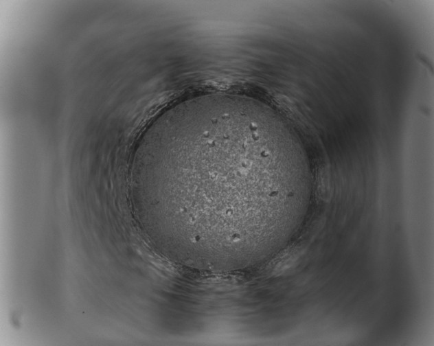 X0000100231105200806061402