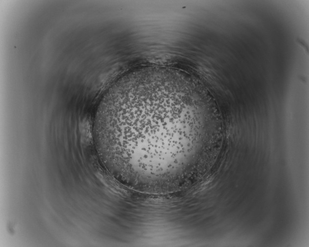 X0000100231106200806061402