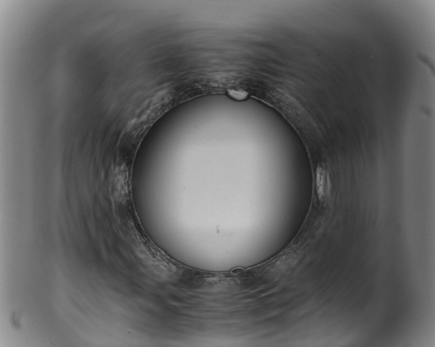 X0000100231107200806061402