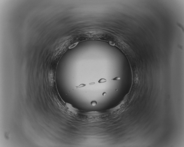 X0000100231108200806061402