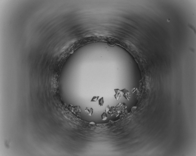 X0000100231110200806061402