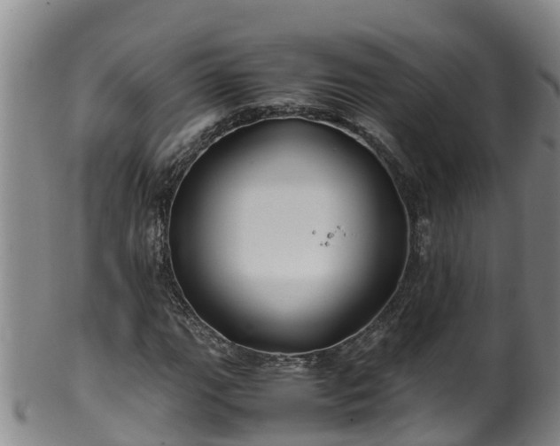 X0000100231111200806061402