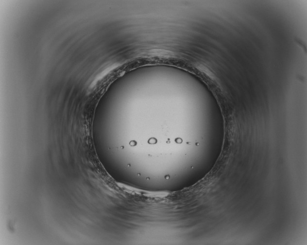 X0000100231112200806061402