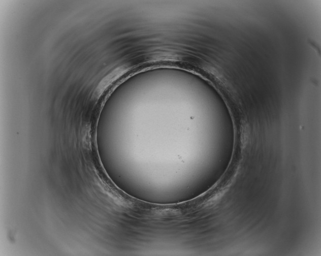 X0000100231113200806061402