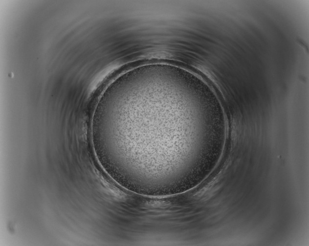 X0000100231115200806061402