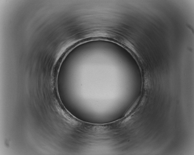 X0000100231116200806061402