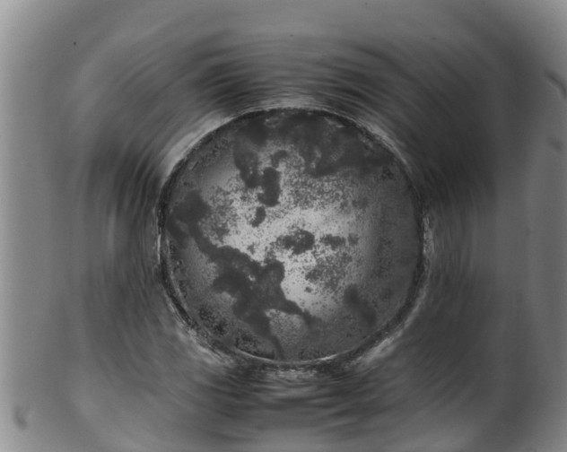 X0000100231117200806061402