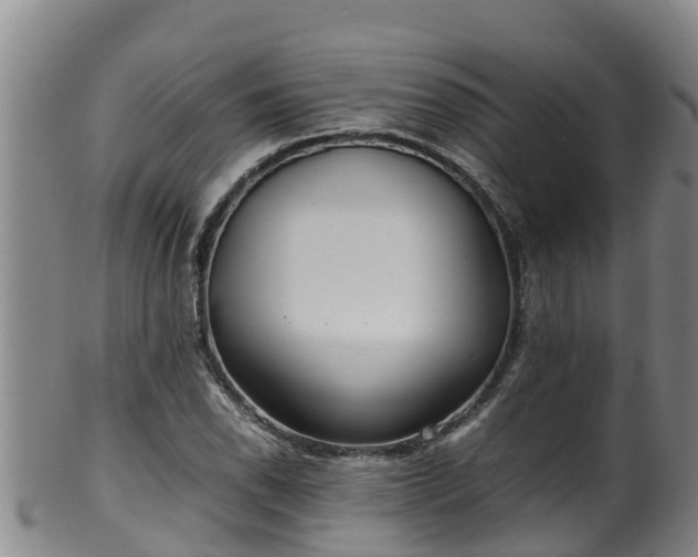 X0000100231118200806061402