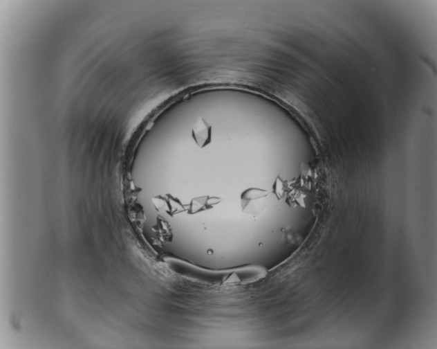 X0000100231120200806061402