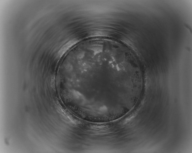 X0000100231121200806061402