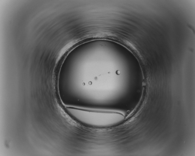 X0000100231122200806061402