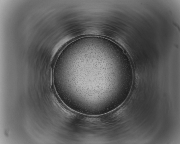 X0000100231123200806061402