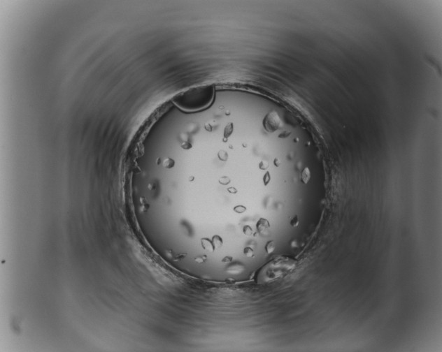 X0000100231124200806061402