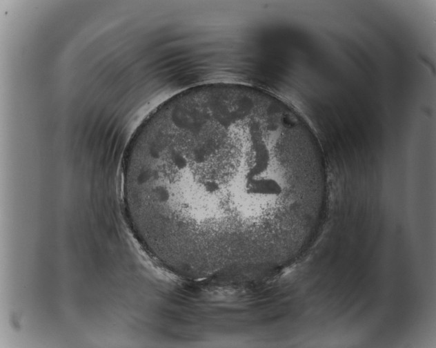 X0000100231125200806061402