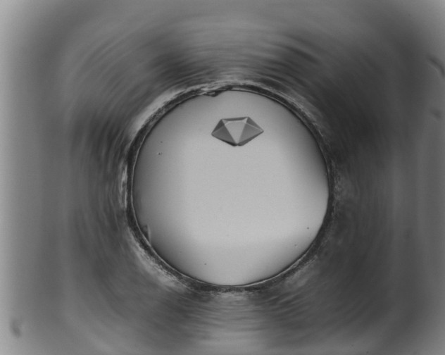 X0000100231126200806061402
