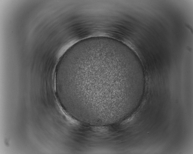 X0000100231127200806061402