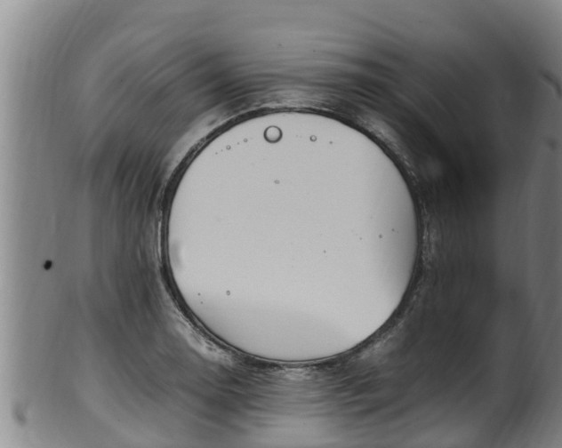 X0000100231130200806061403