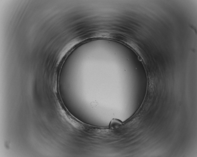 X0000100231131200806061403