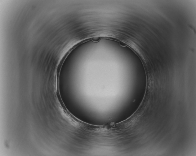 X0000100231132200806061403