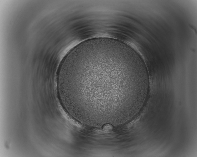 X0000100231133200806061403