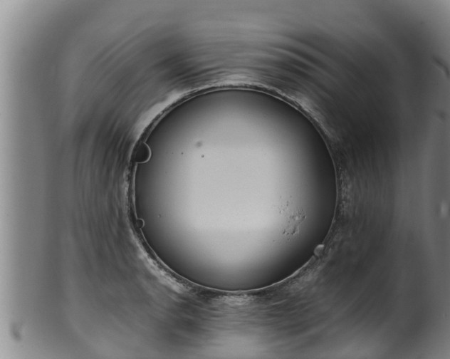 X0000100231134200806061403