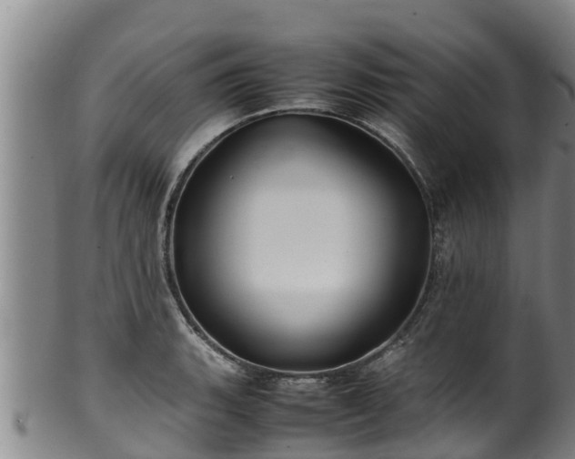 X0000100231135200806061403