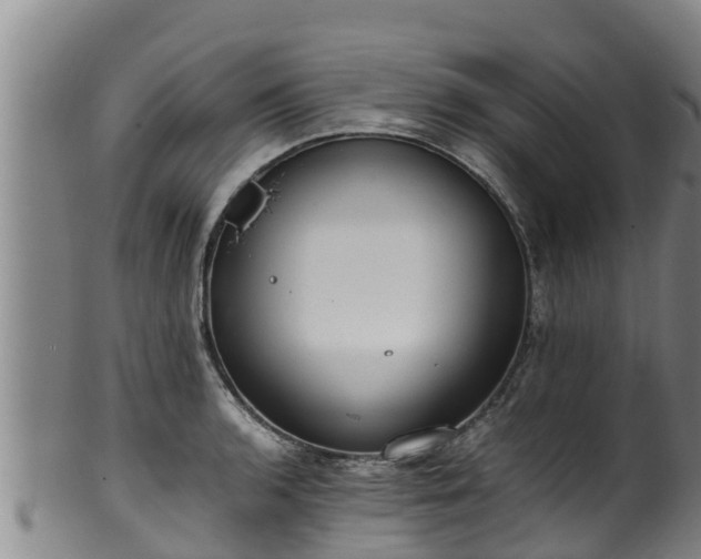 X0000100231136200806061403