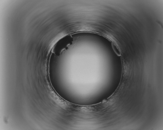 X0000100231138200806061403