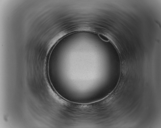 X0000100231139200806061403