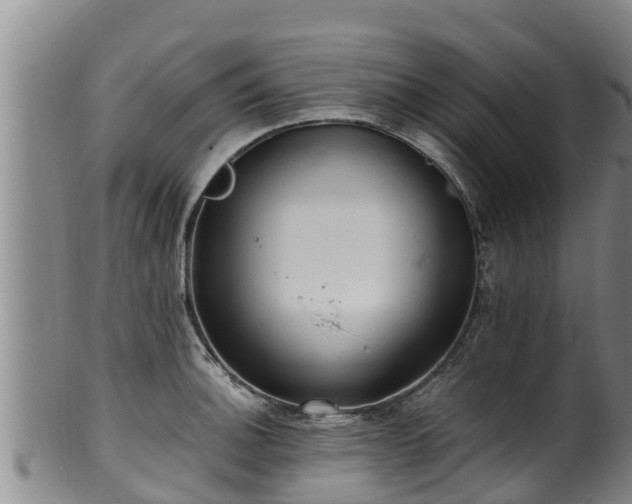 X0000100231140200806061403