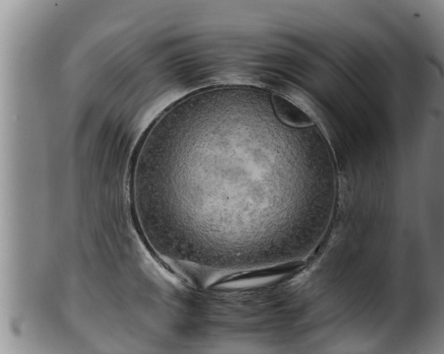 X0000100231141200806061403