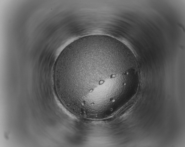 X0000100231142200806061403