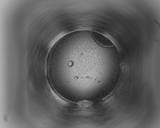 X0000100231143200806061403