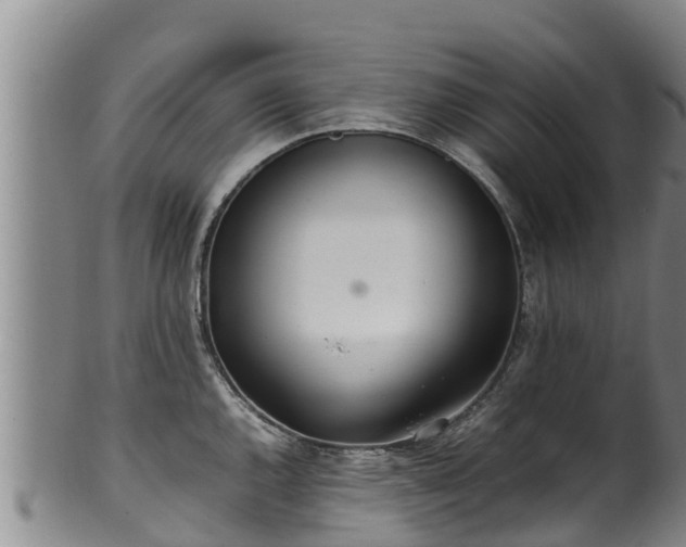 X0000100231144200806061403