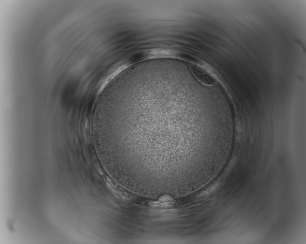 X0000100231145200806061403