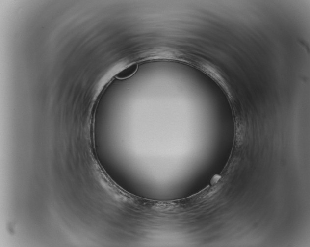 X0000100231146200806061403