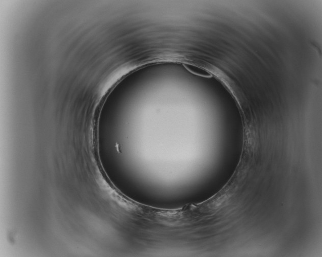 X0000100231147200806061403