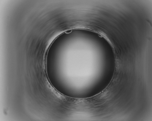 X0000100231148200806061403