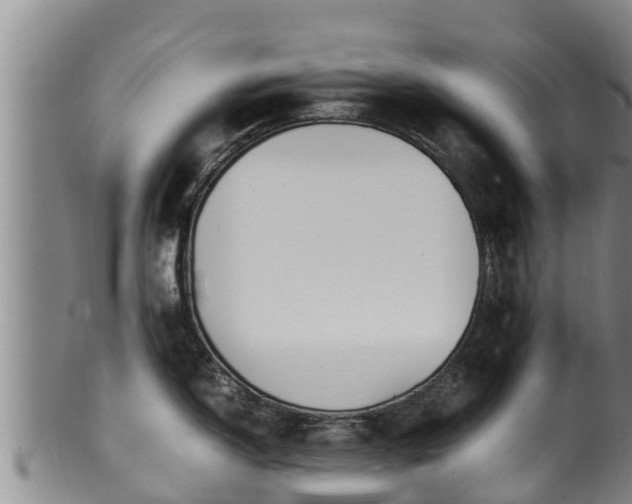 X0000100231150200806061403