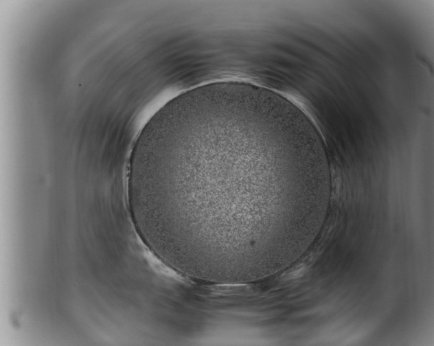 X0000100231151200806061403