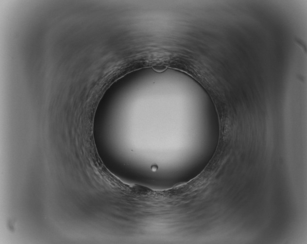 X0000100231153200806061402