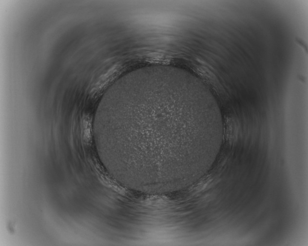 X0000100231154200806061402