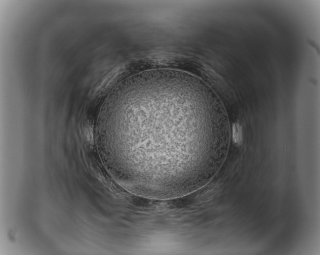 X0000100231155200806061402