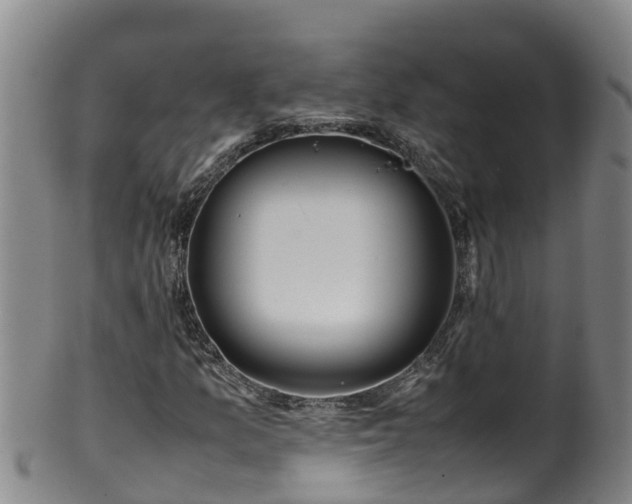 X0000100231157200806061402